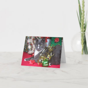 "God Meowy jul!" Helgkort