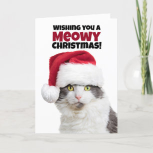 God Meowy jul och Purr New Year Cat Helgkort