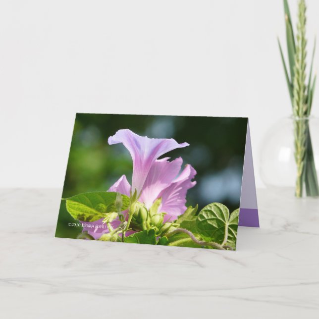 God morgon 2 kort (Framsida)