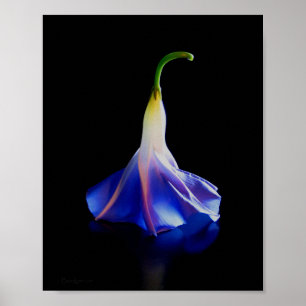 God morgon, blomma 2 poster
