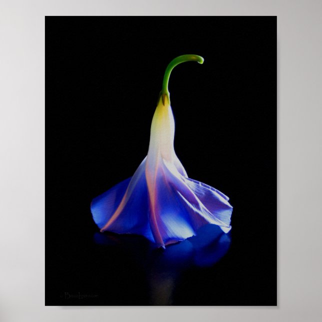 God morgon, blomma 2 poster (Framsidan)