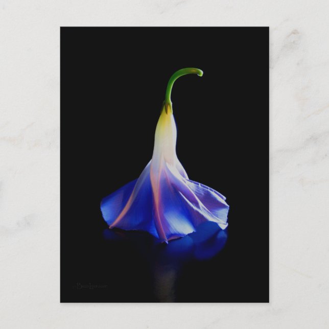 God morgon, blomma 2 vykort (Framsida)