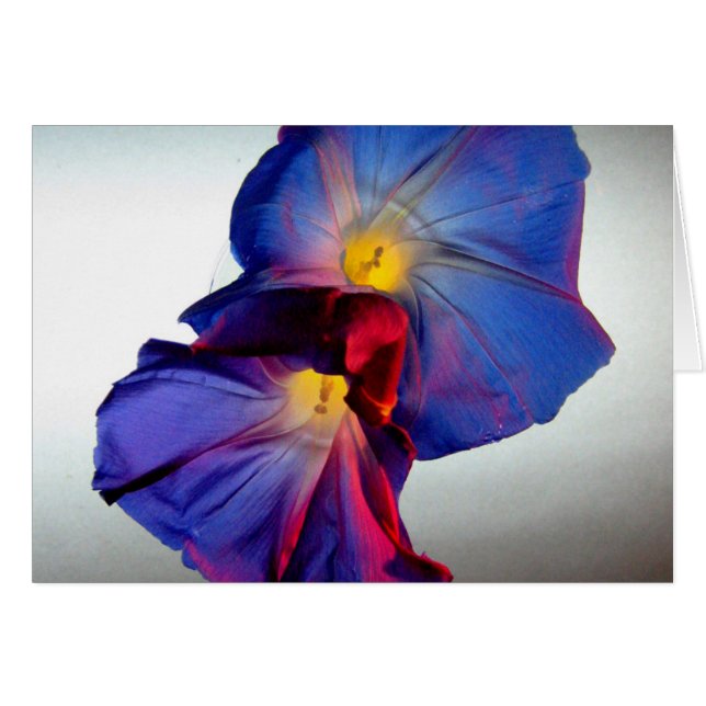 God morgon, blommor 3 hälsningskort (Framsidan Horizontal)