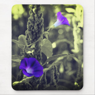 God morgon, blommor musmatta
