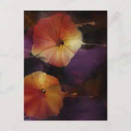 God morgon, blommor vykort