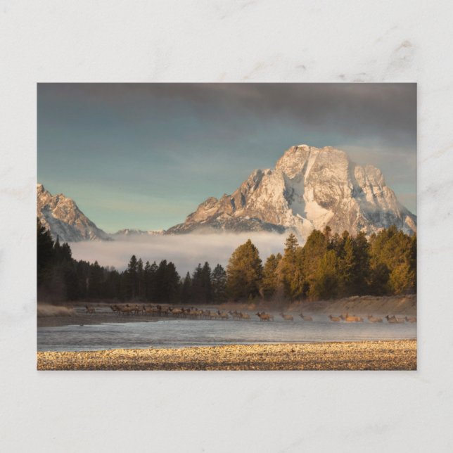 God morgon Commute Vykort (Framsida)