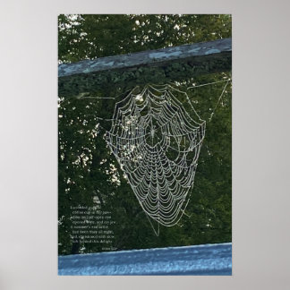 God morgon, ett Dew-Covered-Spindelnät Poster