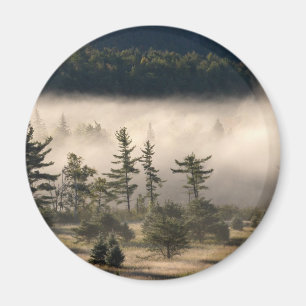 God morgon Fog i Adirondacks Magnet