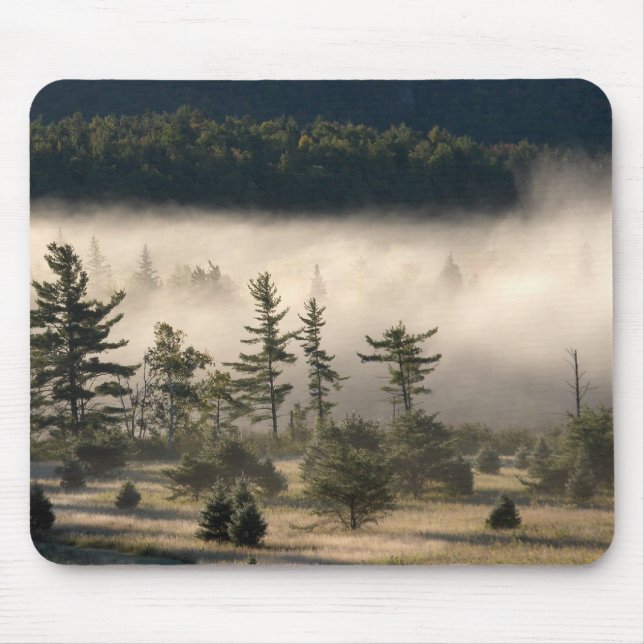 God morgon Fog i Adirondacks Musmatta (Framsidan)