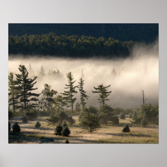 God morgon Fog i Adirondacks Poster (Framsidan)