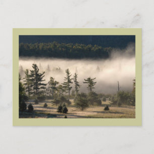 God morgon Fog i Adirondacks Vykort