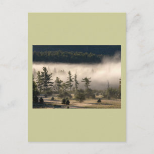 God morgon Fog i Adirondacks Vykort