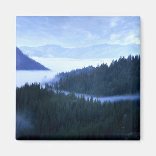God morgon Fog.... Magnet