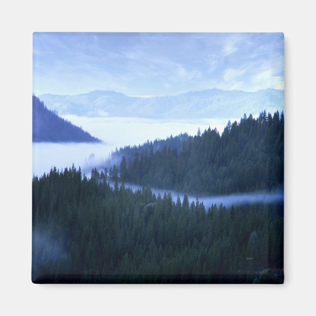 God morgon Fog.... Magnet (Framsidan)