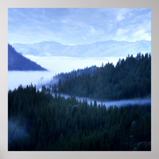 God morgon Fog.... Poster (Framsidan)