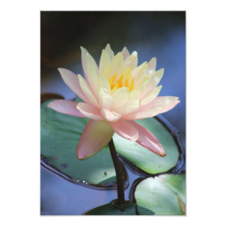 God morgon fototryck