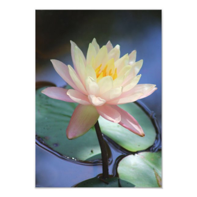 God morgon fototryck (Framsidan)