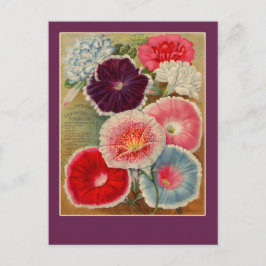 God morgon Glories Seed Packet Art Cards Vykort
