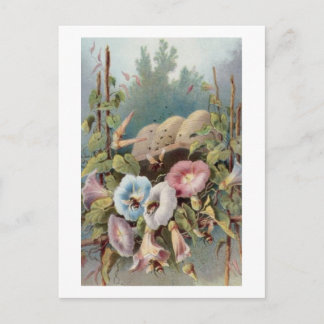 God morgon Glories Vykort