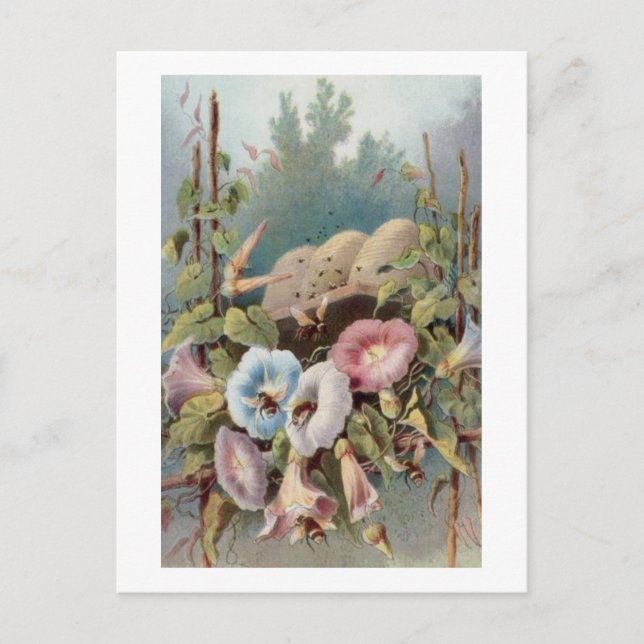 God morgon Glories Vykort (Framsida)