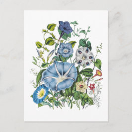 God morgon Glories Vykort