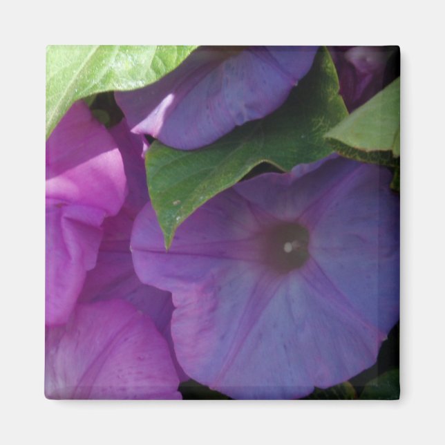 God morgon Glory Flowers Magnet (Framsidan)