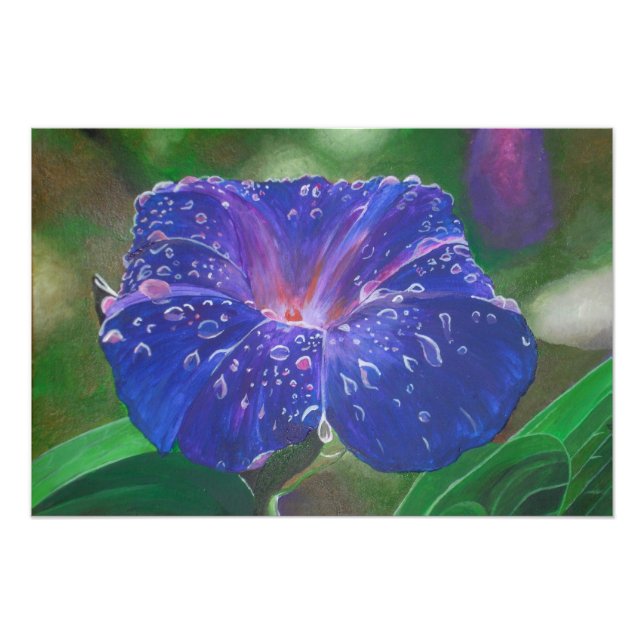 God morgon Glory (Ipomoea Purpurea) Petals och Dew Fototryck (Framsidan)