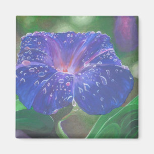 God morgon Glory (Ipomoea Purpurea) Petals och Dew Magnet