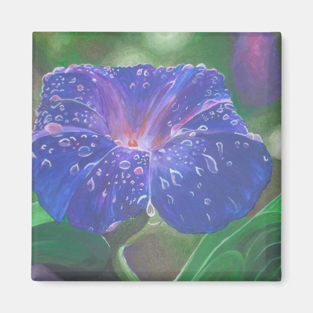 God morgon Glory (Ipomoea Purpurea) Petals och Dew Magnet (Framsidan)