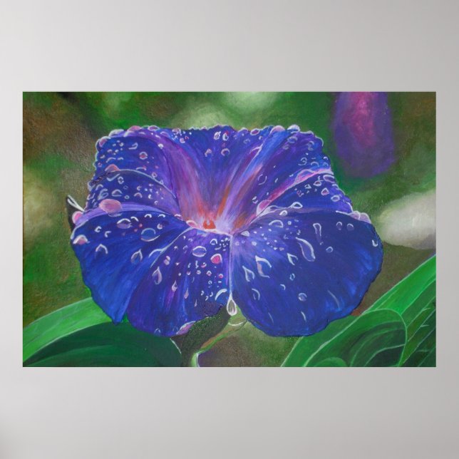 God morgon Glory (Ipomoea Purpurea) Petals och Dew Poster (Framsidan)