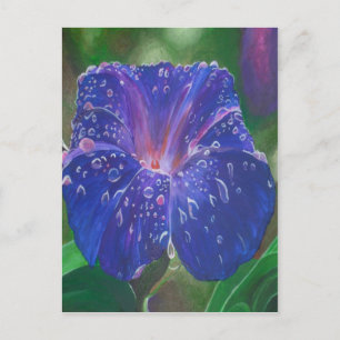 God morgon Glory (Ipomoea Purpurea) Petals och Dew Vykort