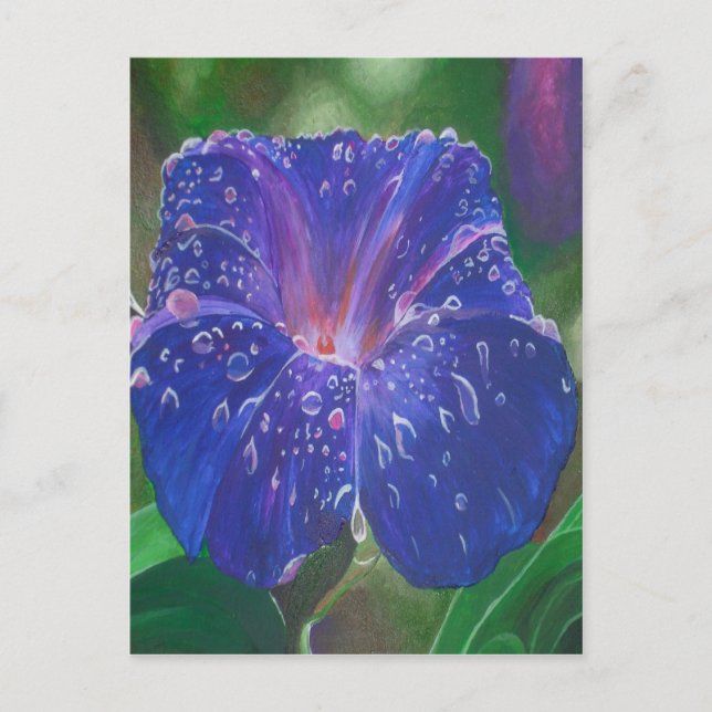 God morgon Glory (Ipomoea Purpurea) Petals och Dew Vykort (Framsida)