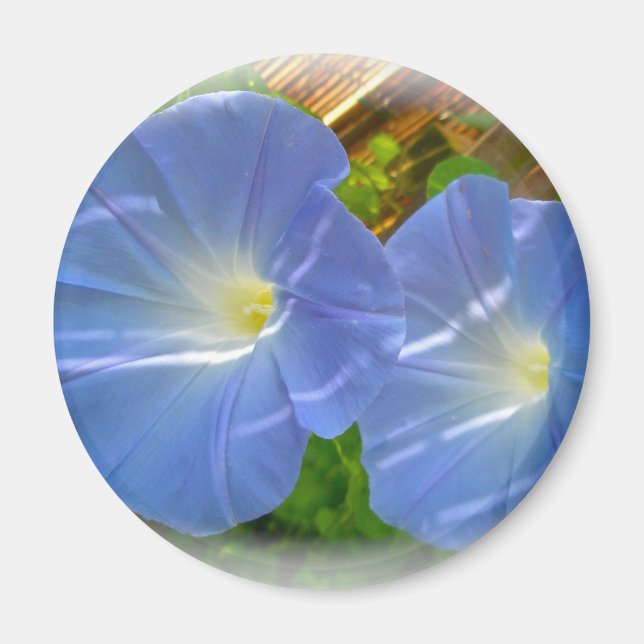 God morgon Glory Magnet (Framsidan)