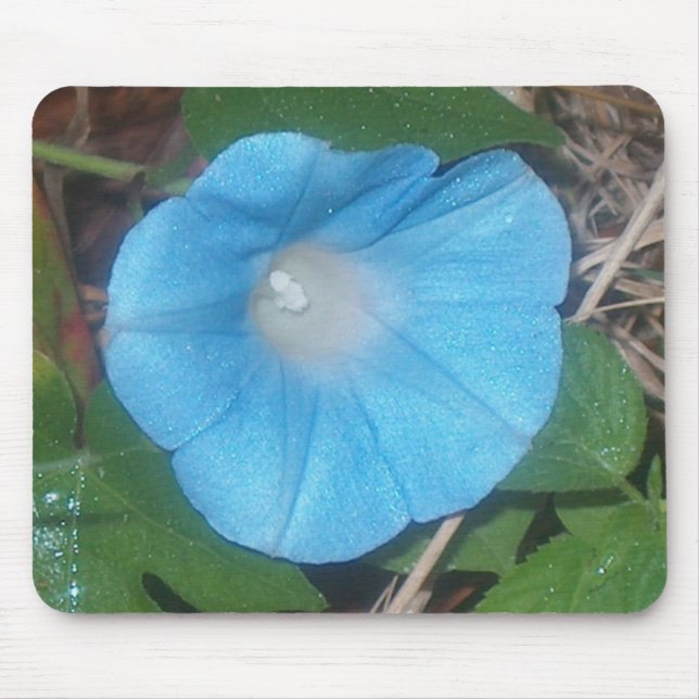 God morgon Glory Mouse Pad Musmatta (Framsidan)
