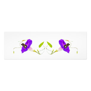 God morgon Glory och Butterfly Fototryck