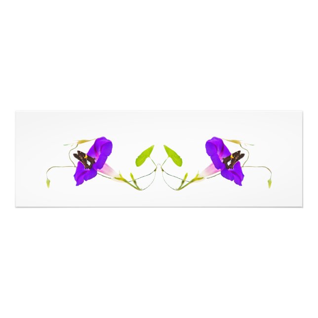 God morgon Glory och Butterfly Fototryck (Framsidan)