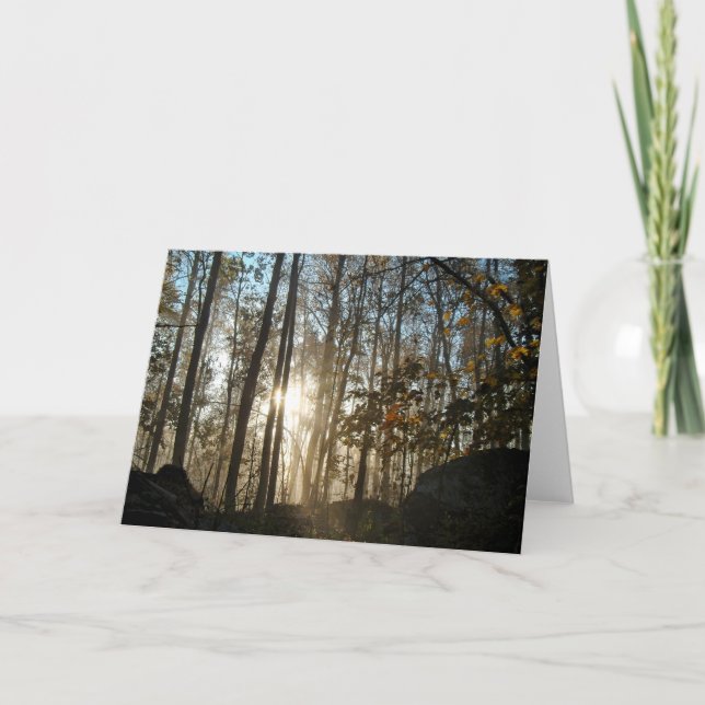 God morgon i Pennsylvania Skogen Kort (Framsida)