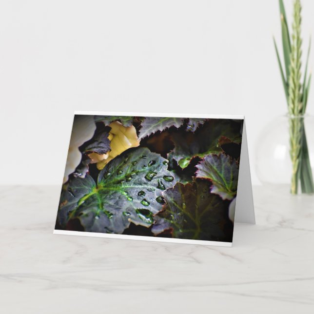 God morgon, kort (Framsida)