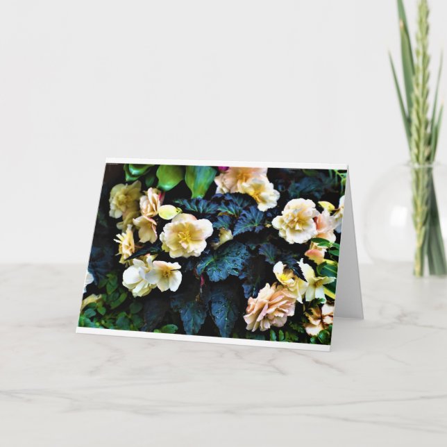 God morgon, kort (Framsida)