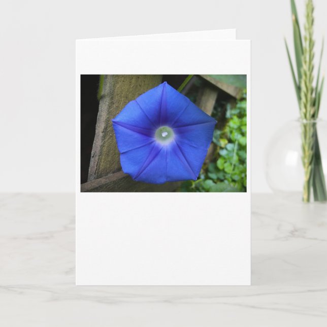 God morgon, kort (Framsida)