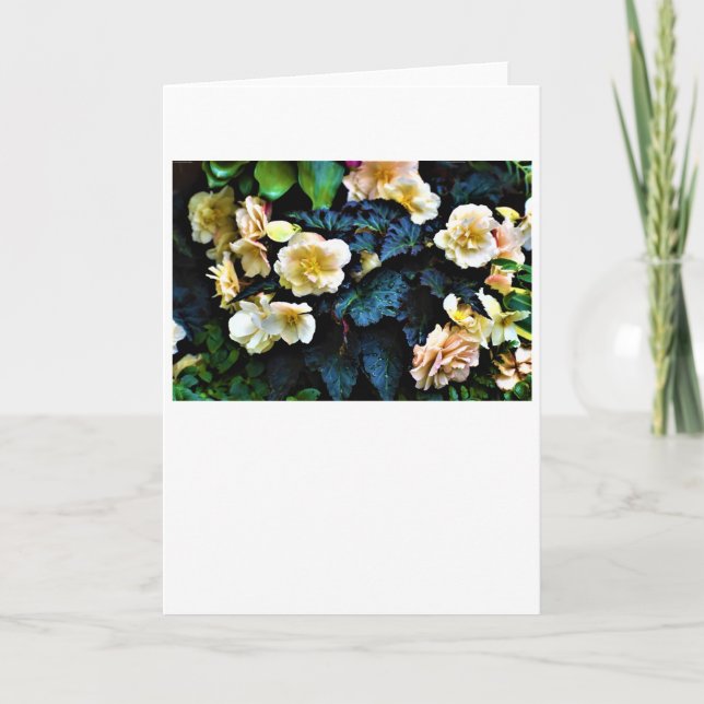 God morgon, kort (Framsida)