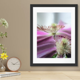 God morgon Light Lila Passion Flower Poster