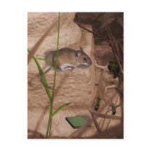 God morgon, miss Mouse...