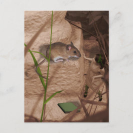 God morgon, miss Mouse... Vykort