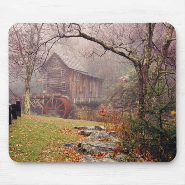 God morgon Mist Musmatta (Framsidan)