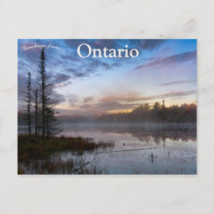 God morgon Mist på Beaver Pond i norra Ontario Vykort