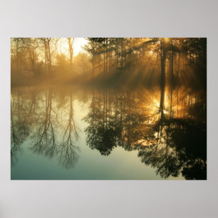 God morgon Mist Poster