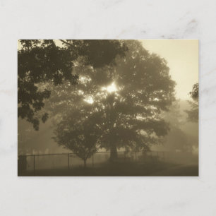 God morgon Mist Vykort
