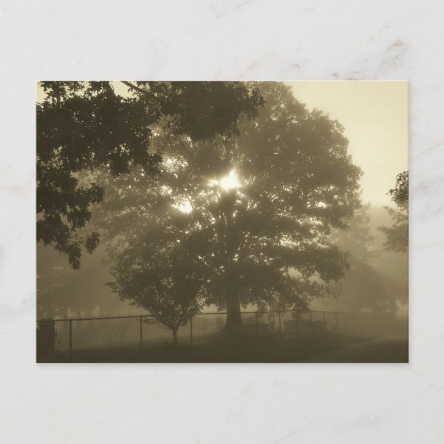 God morgon Mist Vykort (Framsida)