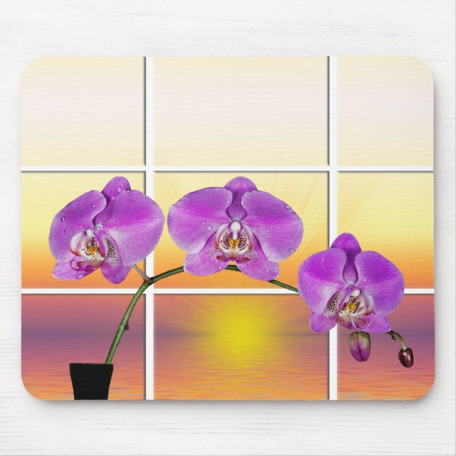 God morgon musmatta (Framsidan)